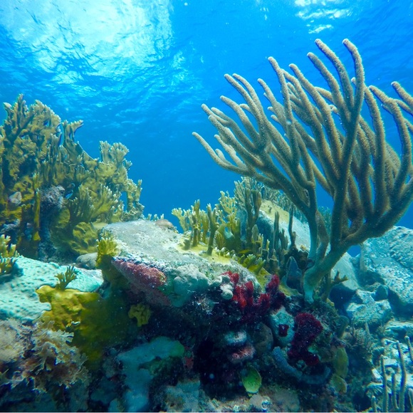 About Your Posher! - Picture 3 of 3